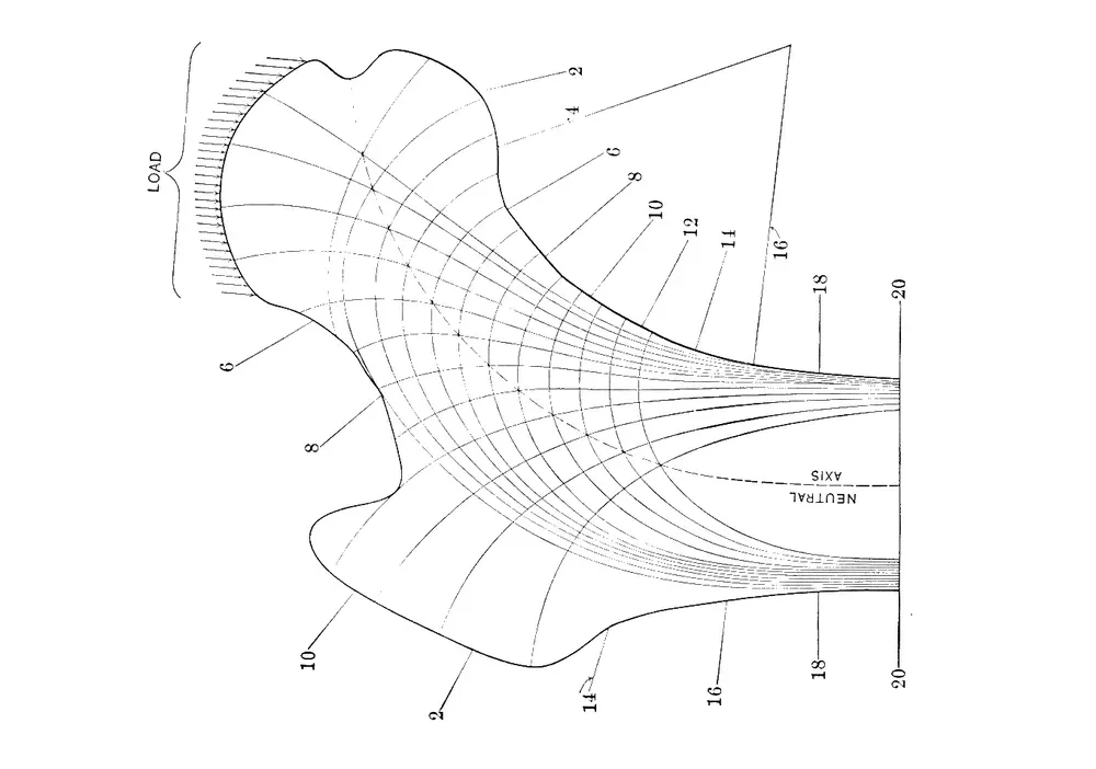 Diagram showing load lines and reactions in a bony system, with numerical markings and reference axes.