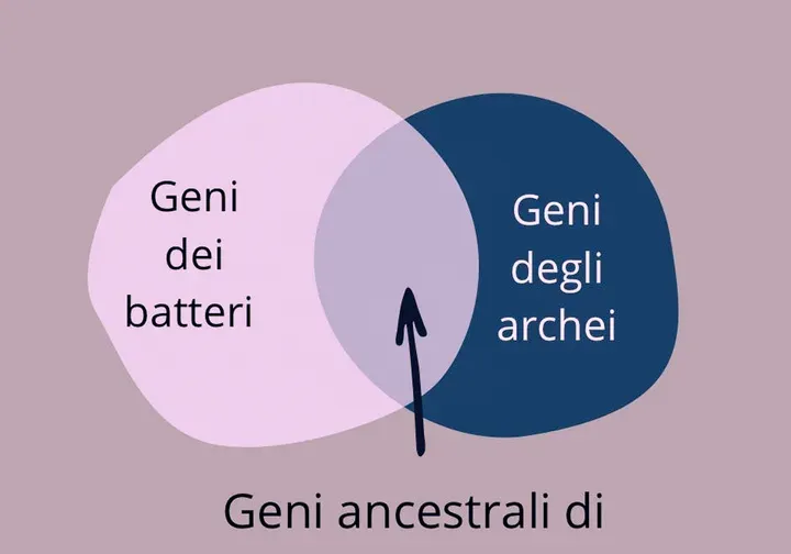 LUCA in Biologia: il Primo Essere Vivente e Antenato Universale