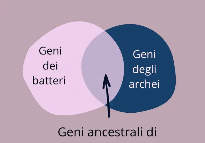 LUCA in Biologia: il Primo Essere Vivente e Antenato Universale