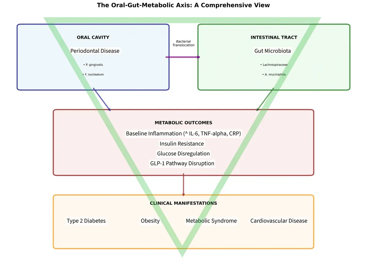 Forza + Impianti + Osso = 3? NO! -> OSTEOPERCEZIONE!