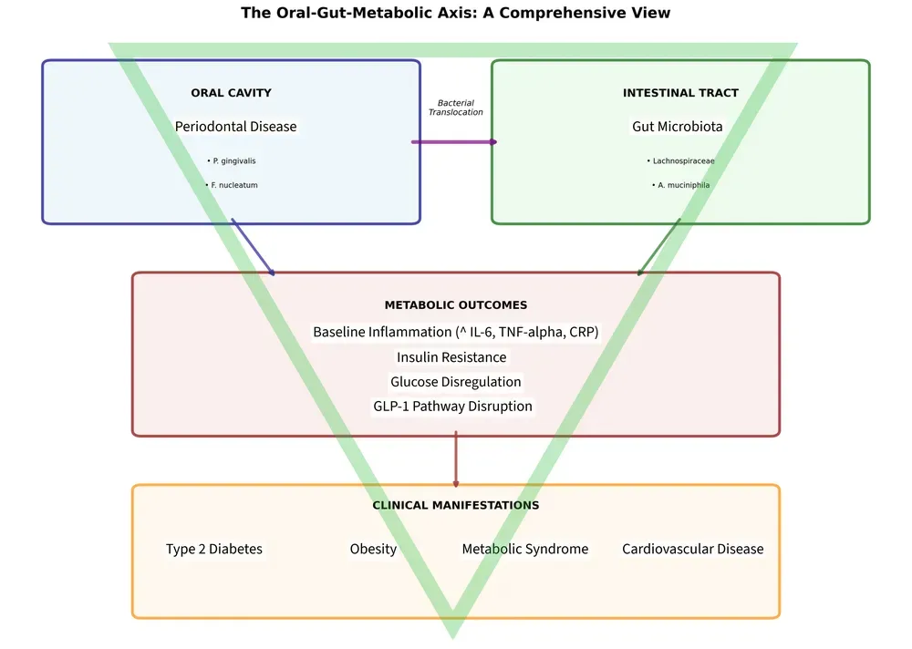 Obesità, microbiota e parodontite: un