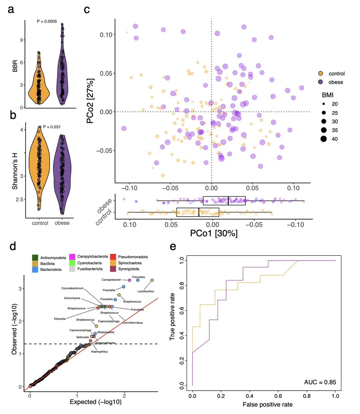 I Batteri della Bocca Controllano il Tuo Peso?