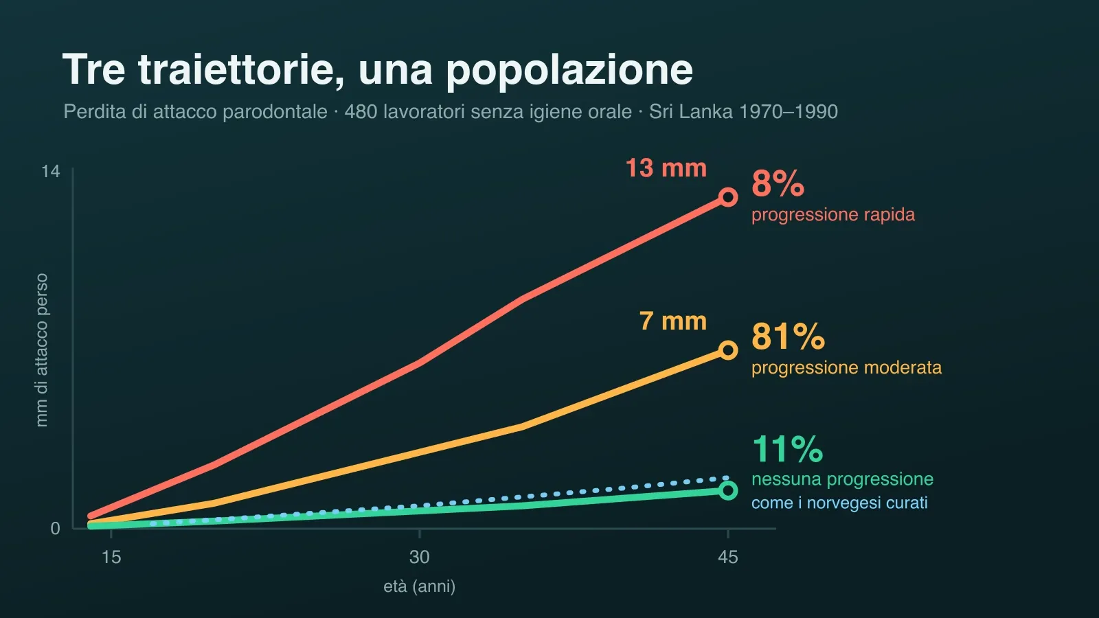 Le tre traiettorie di perdita di attacco parodontale nella coorte dello Sri Lanka: 13 mm nell'8% a progressione rapida, 7 mm nell'81%, poco più di 1 mm nell'11% senza progressione, che coincide con la coorte norvegese curata.