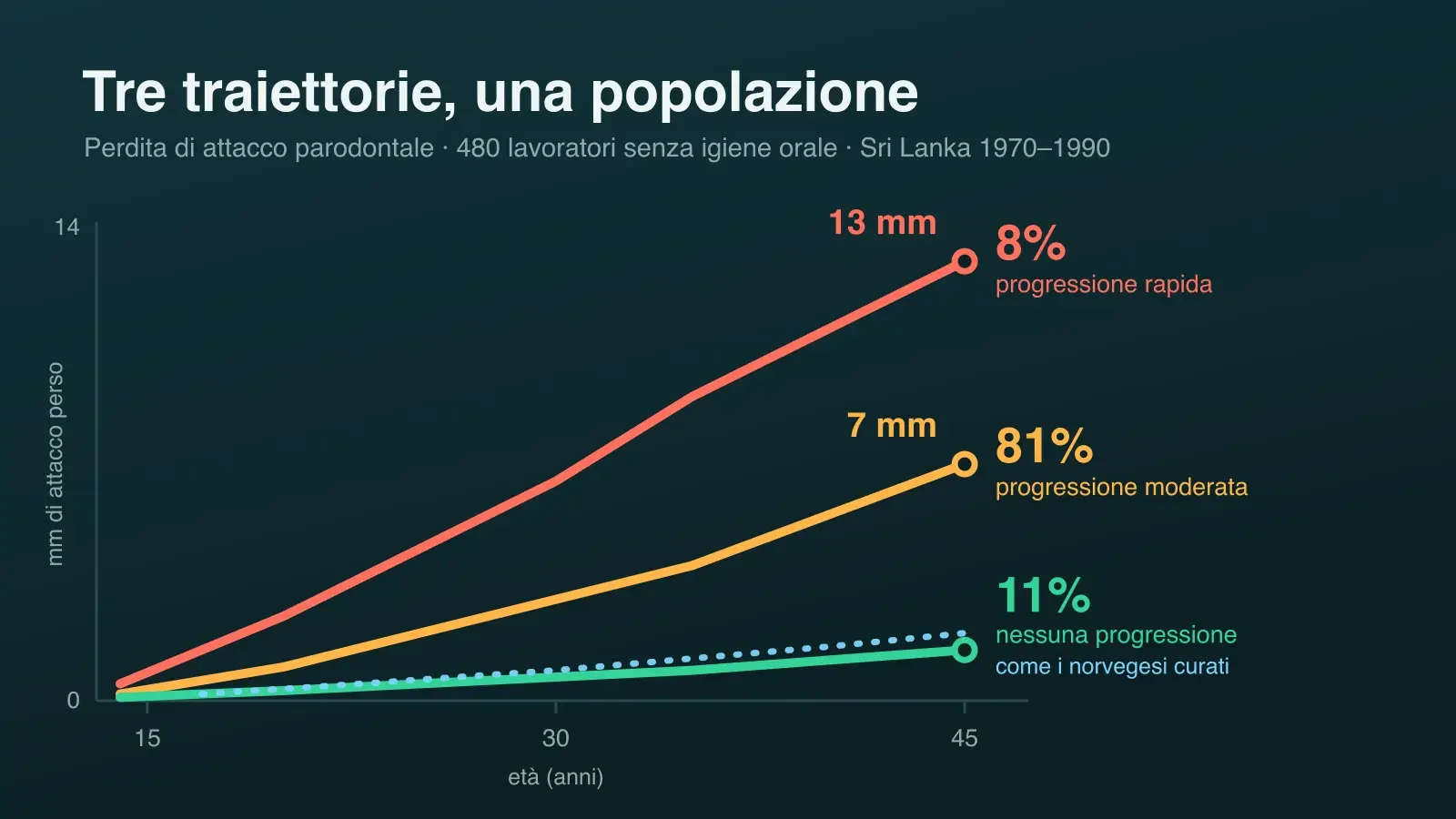 Le tre traiettorie di perdita di attacco parodontale nella coorte dello Sri Lanka: 13 mm nell'8% a progressione rapida, 7 mm nell'81%, poco più di 1 mm nell'11% senza progressione, che coincide con la coorte norvegese curata.