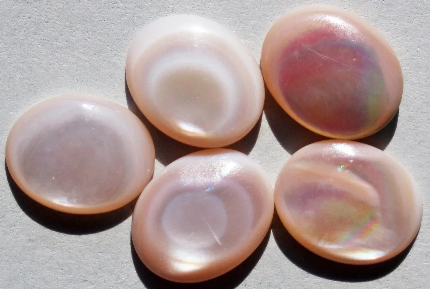 Cinque dischi levigati di madreperla, aragonite iridescente rosa e bianca