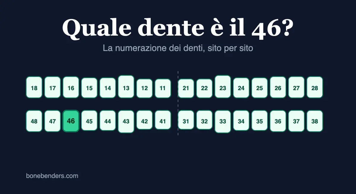 Schema delle due arcate dentarie con i 32 numeri della notazione FDI e il dente 46 evidenziato