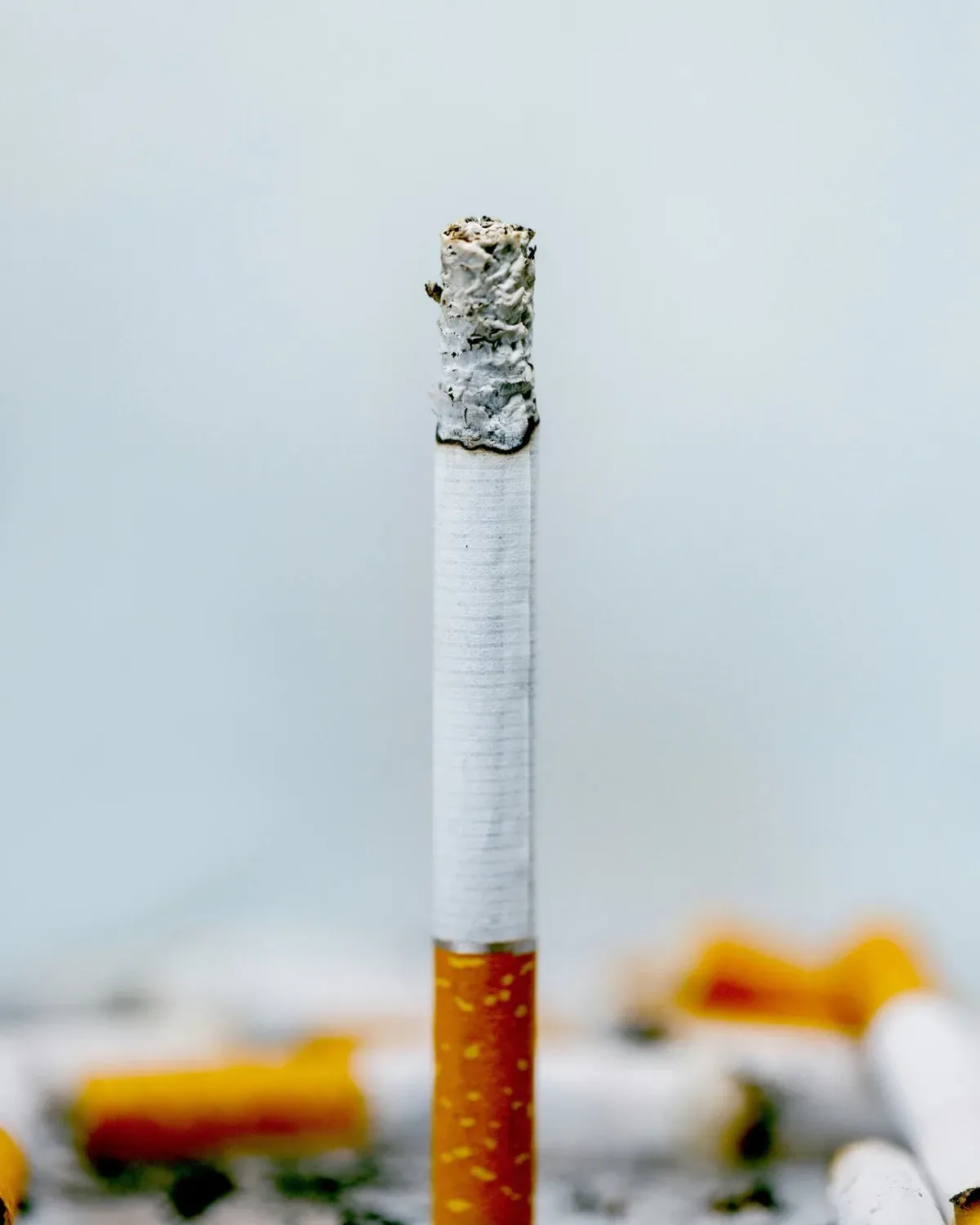 A lit cigarette standing upright in the middle of an ashtray full of stubbed-out butts, its ash still intact at the tip