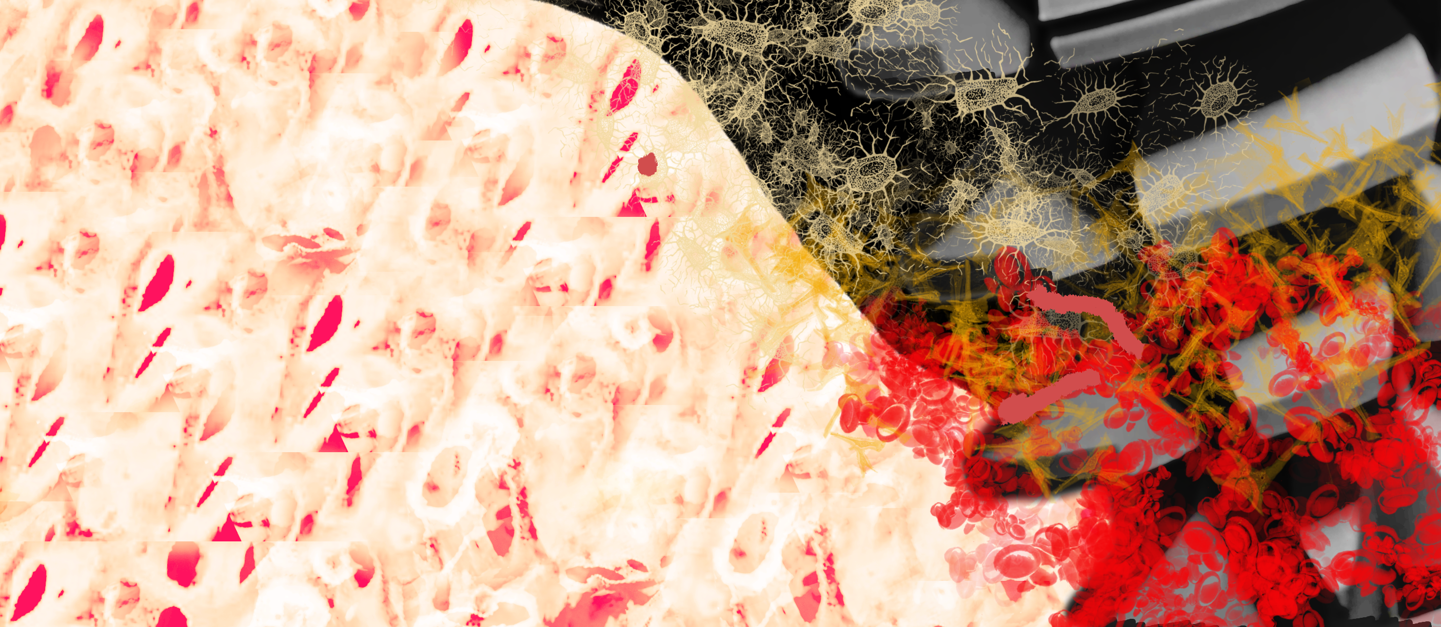 Ti hanno mentito sulla stabilità primaria